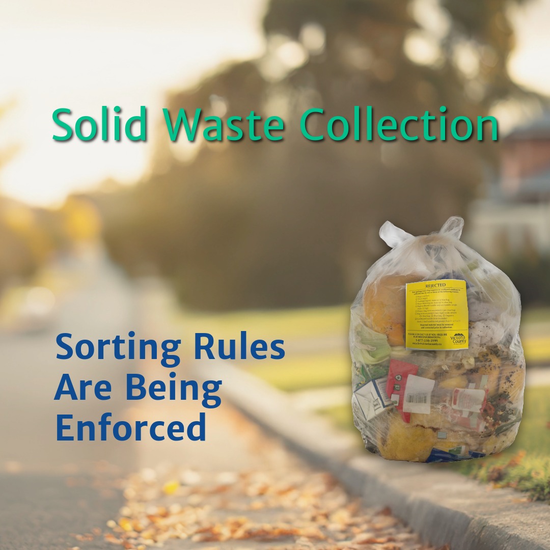 Graphic showing a clear garbage bag placed at a curbside with a yellow “Rejected” tag attached, containing mixed waste. Text reads “Solid Waste Collection” and “Sorting Rules Are Being Enforced,” set against a blurred residential street and trees in the background.