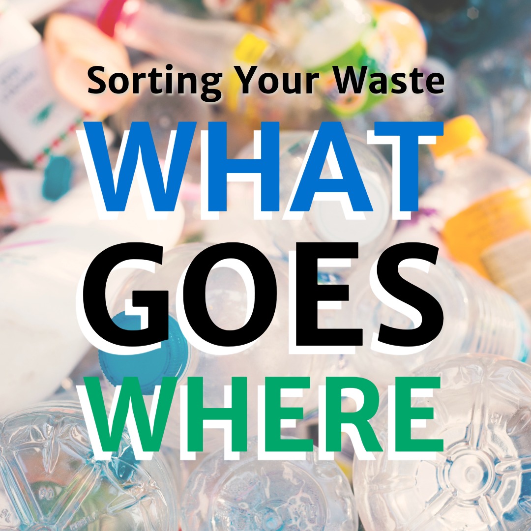 Sorting Your Waste: What Goes Where? 