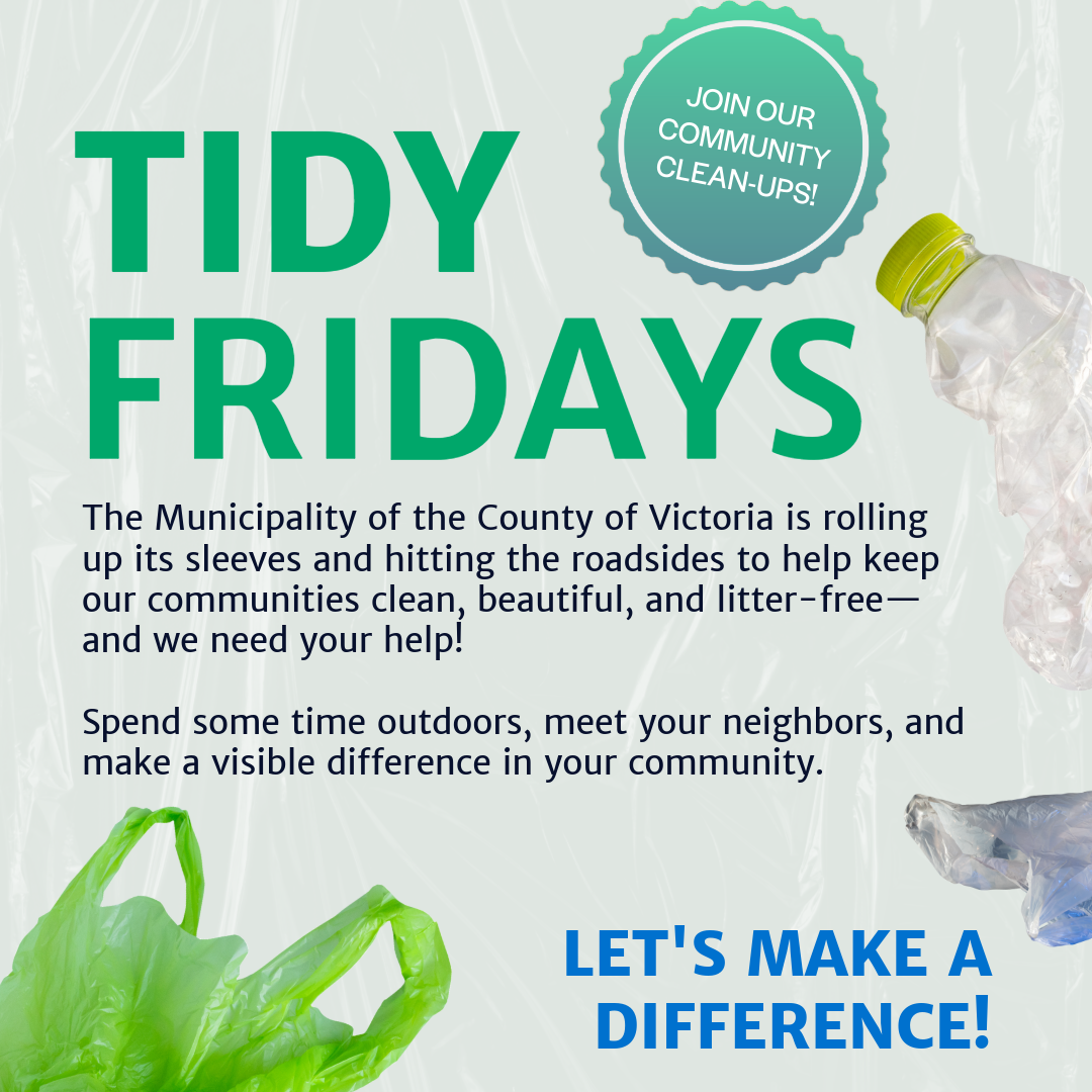 Introducing Tidy Fridays!